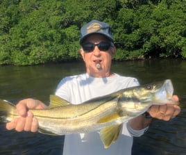 Clearwater Inshore Fishing