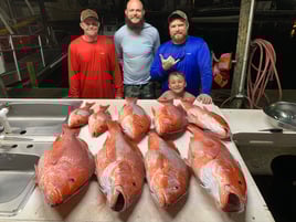 4 hour bay/nearshore