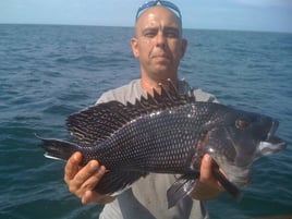 Block Island Black Seabass Trip