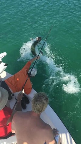 Tarpon fishing