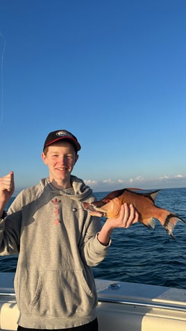 Hogfish Hunt