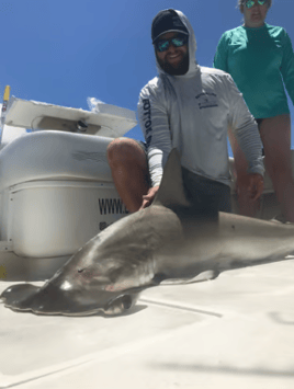 Shark Fishing