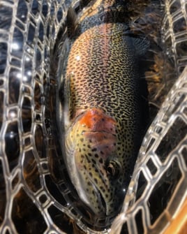 San Juan - float trip