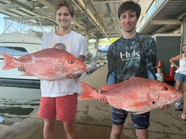 Luxury Snapper Fishing