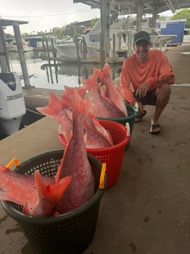 Luxury Snapper Fishing