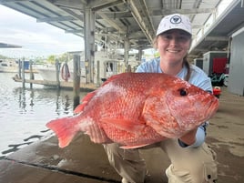 Luxury Snapper Fishing