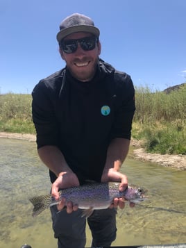 San Juan River - Wade Trip