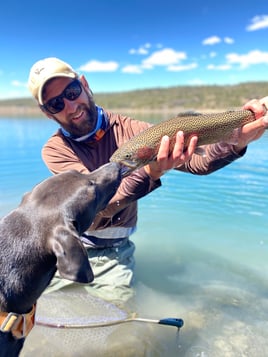 San Juan River - Wade Trip