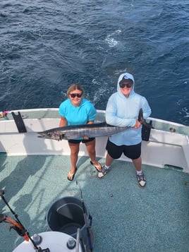 Destin Bottom Bounty - 6-Hour