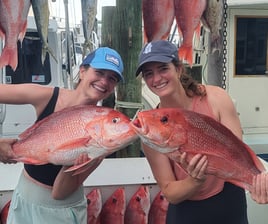 8 Hour Bottom Fishing Some Troll