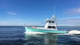 Extended voyage for some big ones