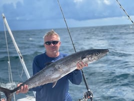 Ocean Cat 4hr Afternoon Trolling