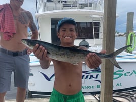 Ocean Cat 4hr Afternoon Trolling