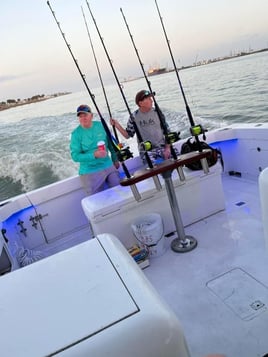 Port A Full Day - 38' Bertram