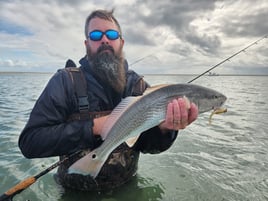 Backwater Sightfishing,  Fly/Spin