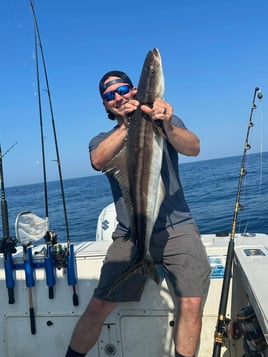 Quick Catches in the Gulf