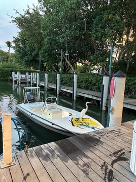 Back Country Bonanza