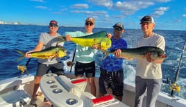 Mahi Mahi Fishing in Pompano Beach, Florida