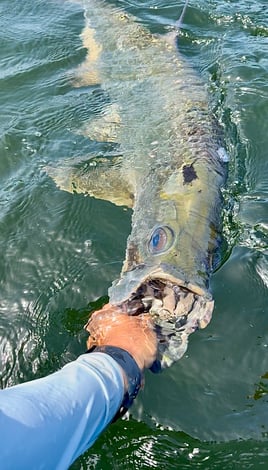 Grandslam On The Fly