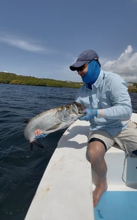 Grandslam On The Fly