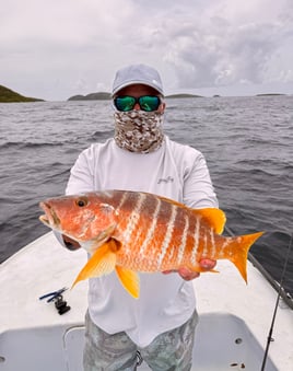 Grandslam On The Fly