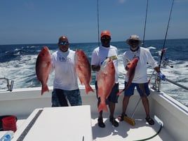 6hr Offshore Fishing