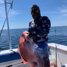 Reelin' in Red Snapper
