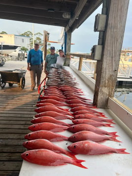 Half Day Deep Sea Fishing Charter