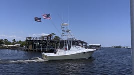 Half Day Gulf Thrill Expedition