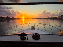 Half Day Gulf Thrill Expedition