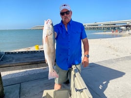 6 Hour Reel Fun Bay and Flats Trip