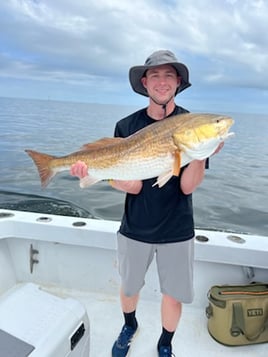Biloxi Inshore