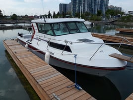 Lake Ontario Salmon Master