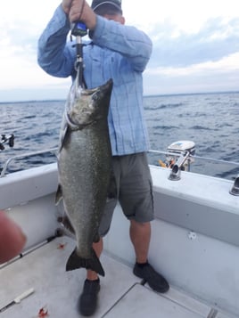 Lake Ontario Salmon Master