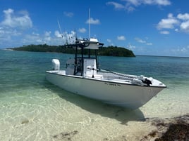 Morning 1/2 day fishing charter