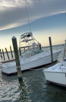 5 Hr Bottom Fishing & Trolling