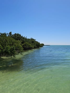 Florida Fishin' Frenzy