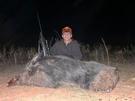 Hog Hunt