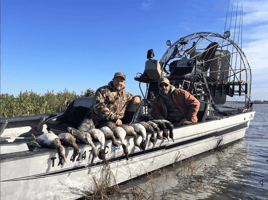 Coastal Duck Delight