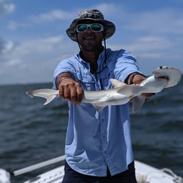 Tampa Bay Sharkfest - 25' Sportsman
