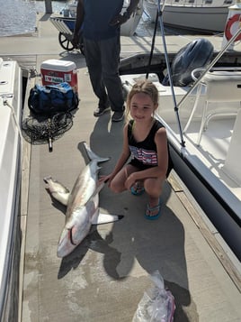 Tampa Bay Sharkfest - 25' Sportsman