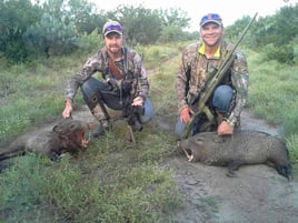 Hog Heaven