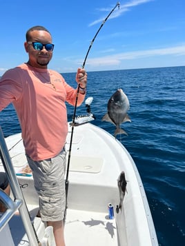 Half Day Deep Sea Trip