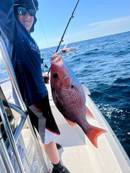 Half Day Deep Sea Trip