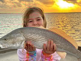 Rockport Fish Frenzy