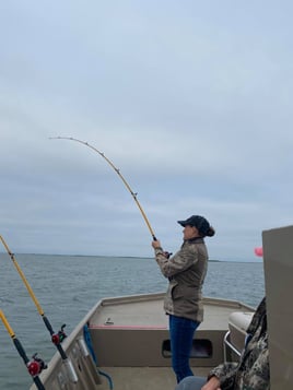 Rockport Fish Frenzy