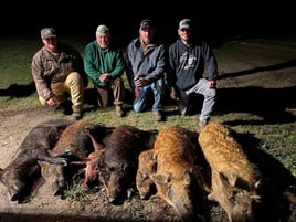 South Texas Hog Haul