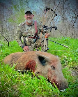 South Texas Hog Haul