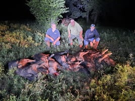 Texas Hog Harvest