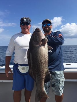 PCB Bottom Fishing Adventure